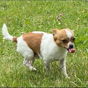 Meet your Posher, Hope